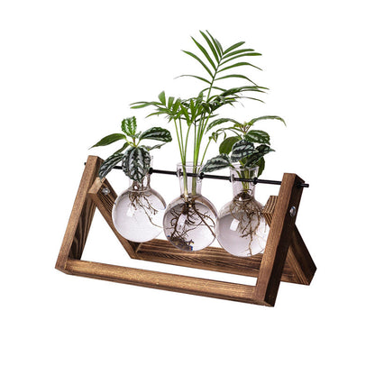 Lvdia Hydroponic Planter