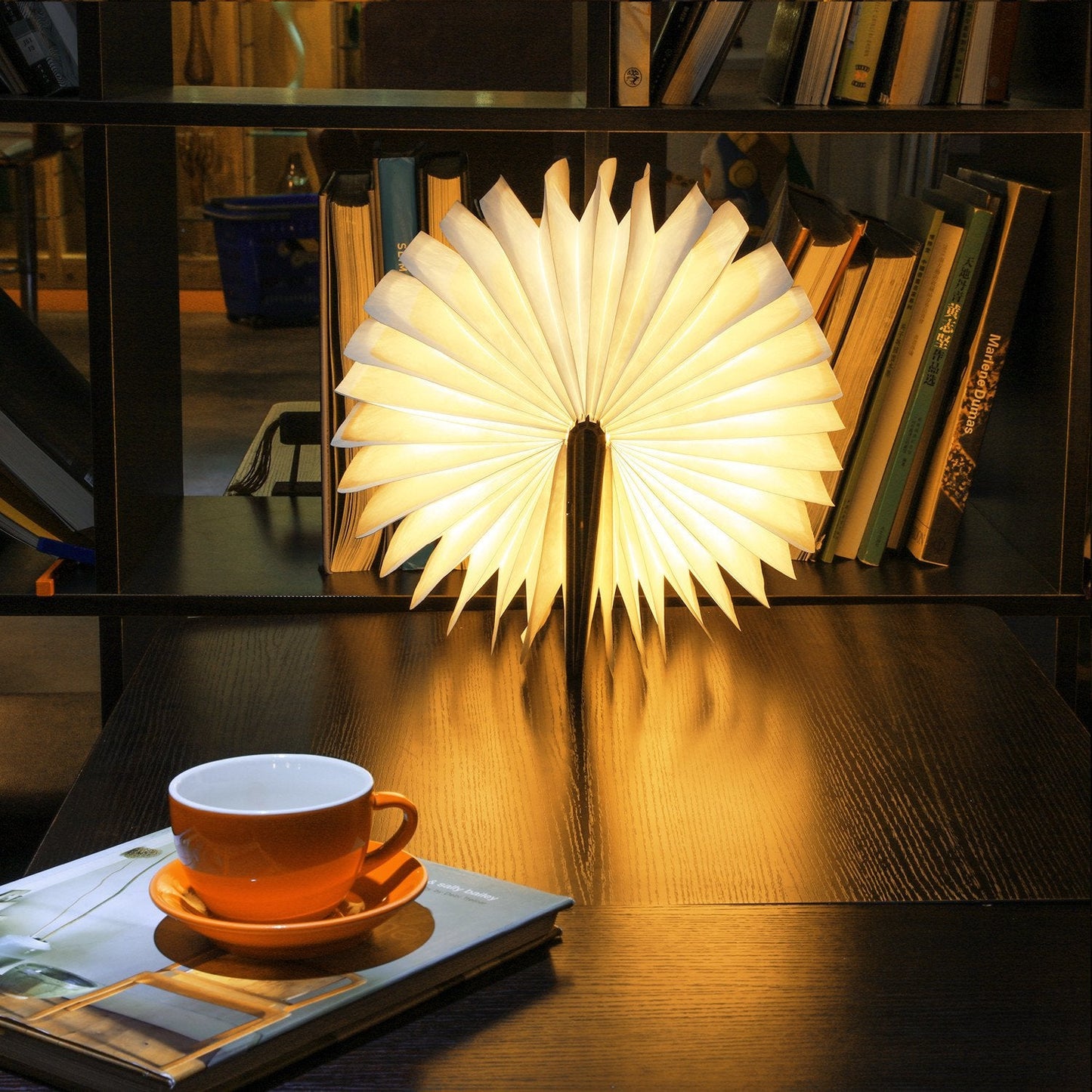 Luminous Folding Book Night Light