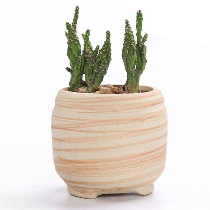 Mini Striped Succulent Flower Pots