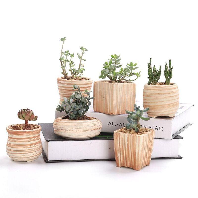 Mini Striped Succulent Flower Pots